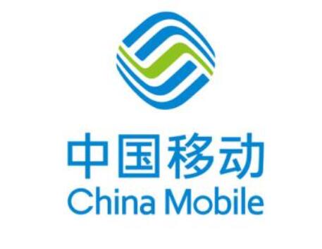 移動IMS業(yè)移專線接入政府單位解決方案